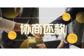 阜宁专业要账公司